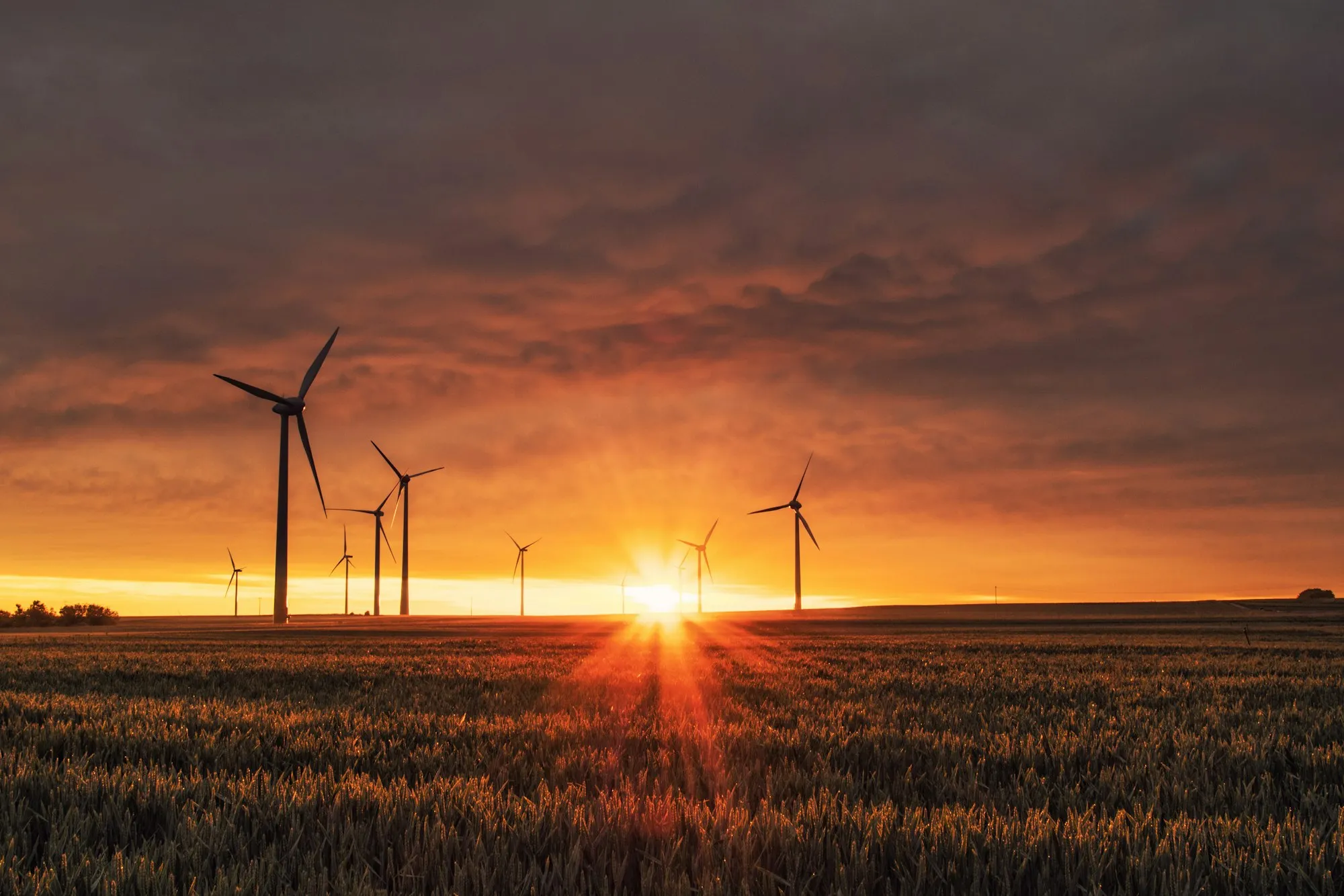Wind farm, one of the asset classes the cloud controller is designed to coordinate alongside BESS and hydro.